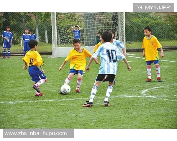 布鲁日足球俱乐部的辉煌历史与未来发展展望